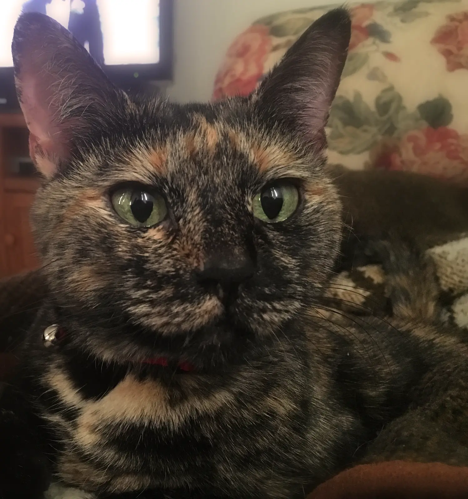 Caramel